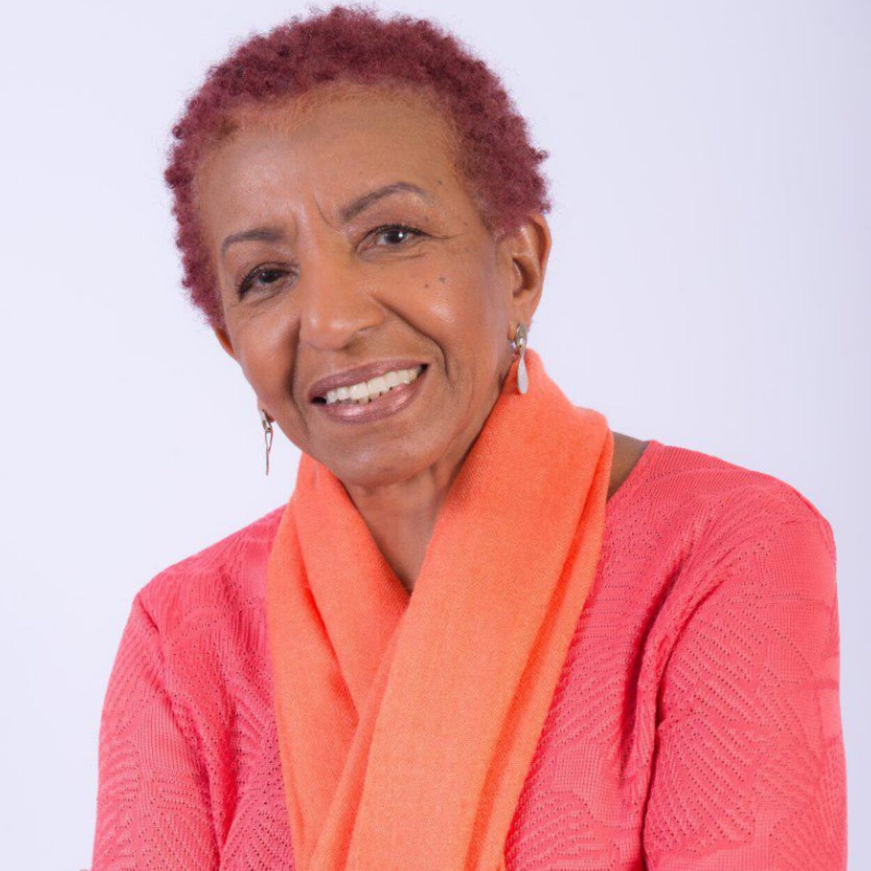 A cantora e compositora Leci Brandão.