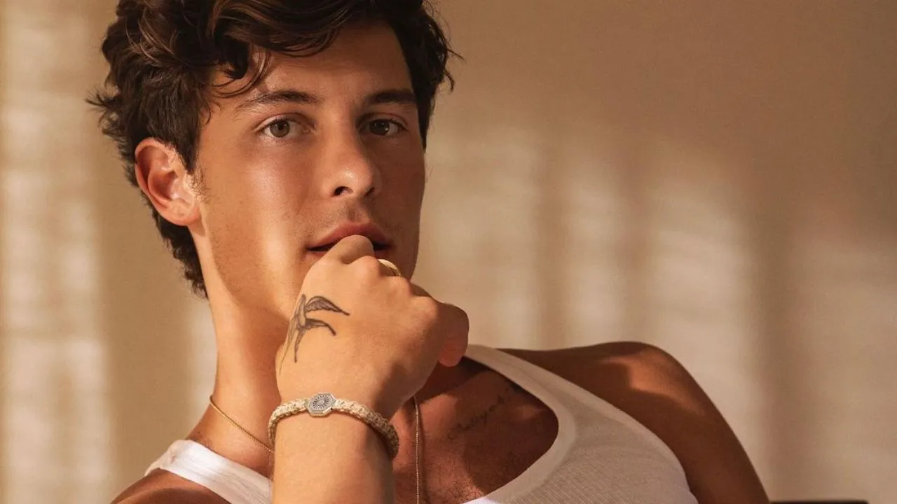 Shawn Mendes desabafa sobre sua sexualidade - Divulgação