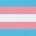 Bandeira trans: três faixas horizontais em azul claro, rosa e branco. A faixa central é branca, enquanto as faixas superior e inferior são azul claro e rosa, simbolizando uma diversidade de identidades de gênero.