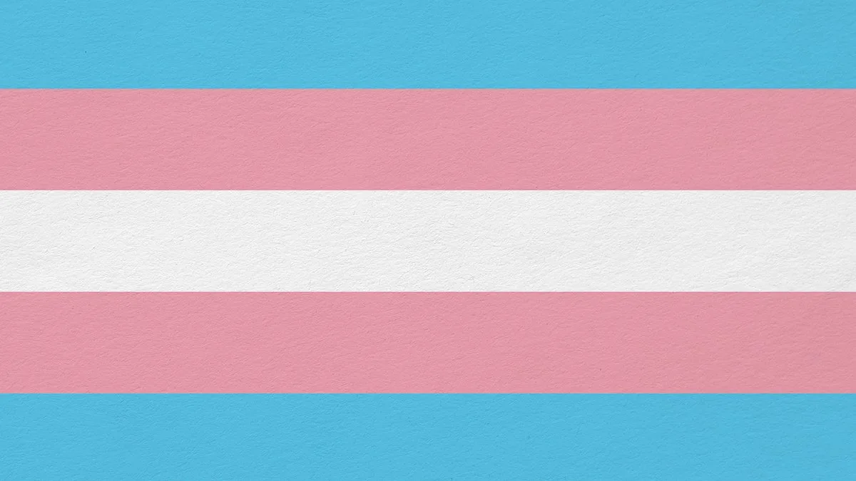 Bandeira trans: três faixas horizontais em azul claro, rosa e branco. A faixa central é branca, enquanto as faixas superior e inferior são azul claro e rosa, simbolizando uma diversidade de identidades de gênero.