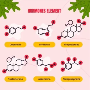 Dosagens hormonais e pessoas trans