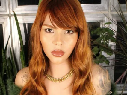 Modelo trans sofre tentativa de homicídio após sequência de agressões por vizinhos em SP