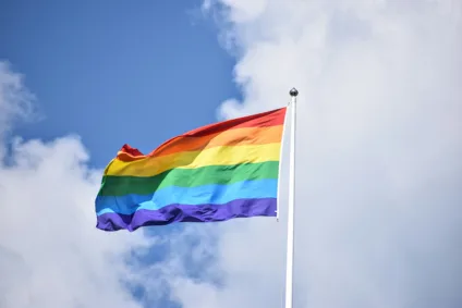 Bandeira LGBTQIAPN+