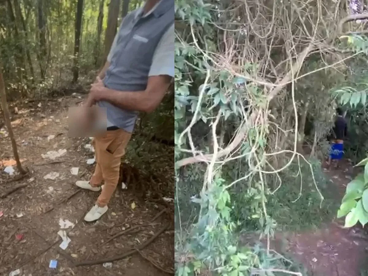 Prefeitura de Curitiba anuncia medidas após denúncias em "motel ecológico" com sexo a céu aberto