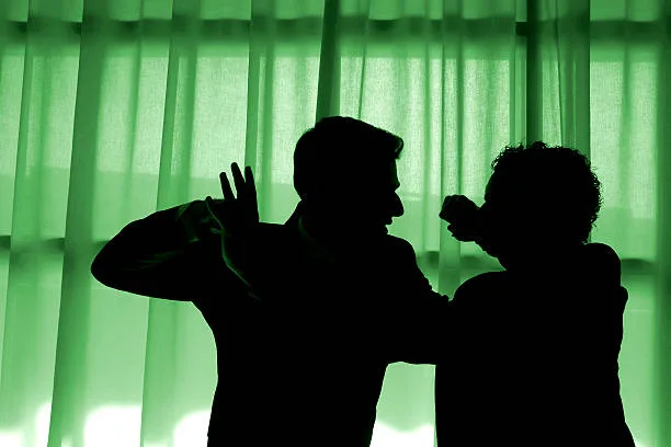 Justiça de Goiás aplica Lei Maria da Penha em caso de relação homoafetiva