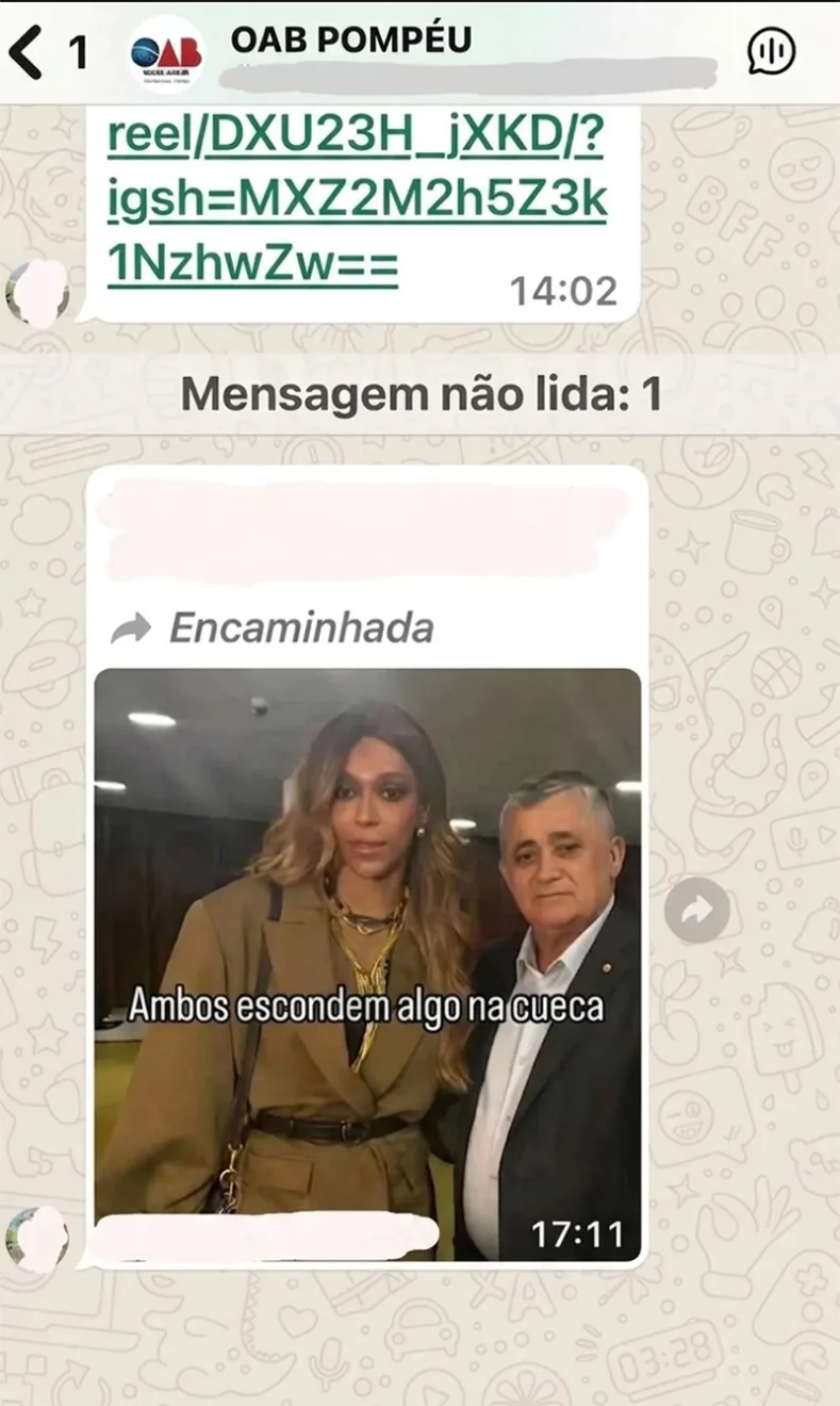 Grupo da OAB vira alvo de denúncia por mensagens transfóbicas contra Erika Hilton