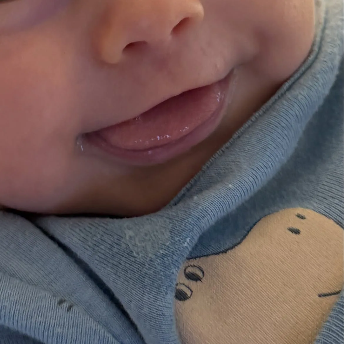 Filho de Lauana Prado